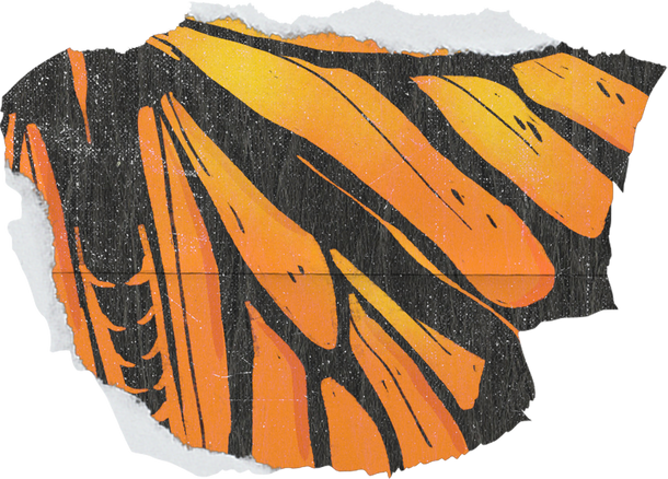 Textured Monarch Butterfly Print Scrap